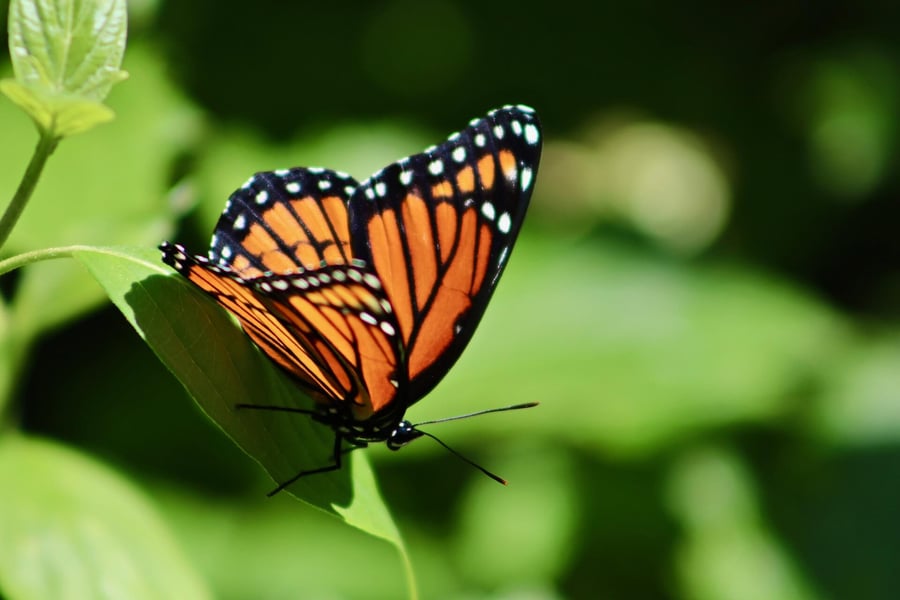 6 ingredients for a successful digital transformation program