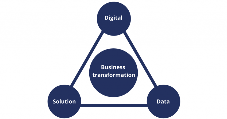 Forms of business transformation